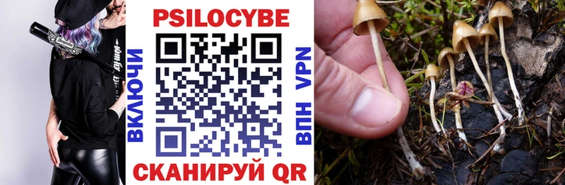 omg как зайти  Углегорск  Галлюциногенные грибы мицелий 